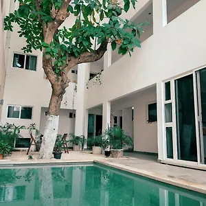 Cozy Zazil-ha Apartahotel Playa del Carmen